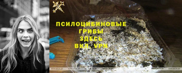 сатива Алексин